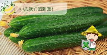 哪种鸟吃瓜最好