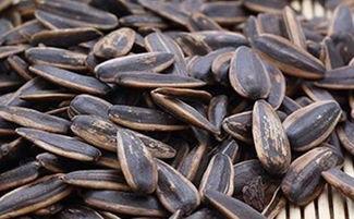 吃瓜是吃瓜子吗为什么,究竟是在吃瓜子吗？