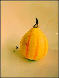 新沂最新吃瓜视频,揭秘当地热点事件背后的真相