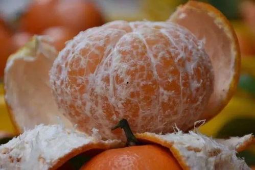 大脑门吃瓜,揭秘网络热词背后的文化现象