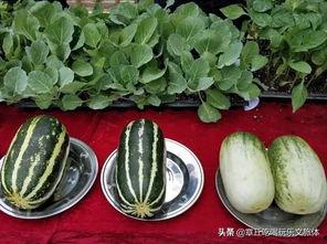 济南章丘吃瓜事件视频,一场网络热议的真相揭秘