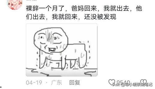 吃瓜爆炸的视频,惊心动魄的瞬间回顾