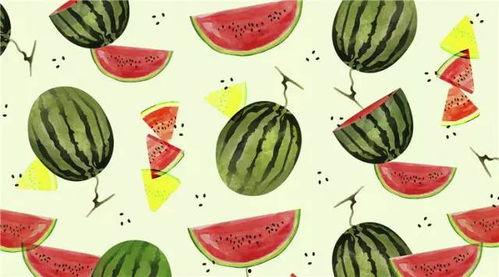 今日乌鲁木齐吃瓜总结,一场味蕾与文化的碰撞